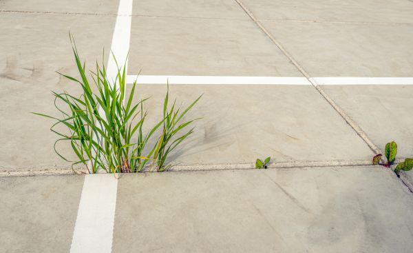 Concrete Parking Installation in Copperas Cove